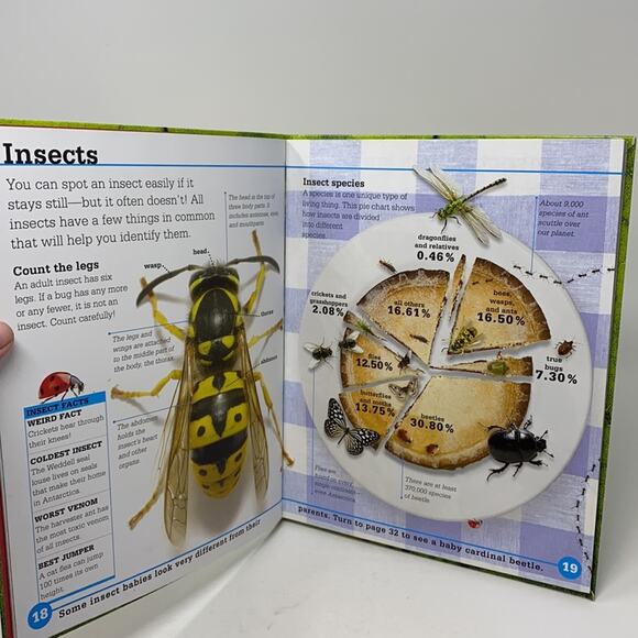 Bundle of 3 Bugs & Dinosaurs Childrens Books - Picture 4 of 11